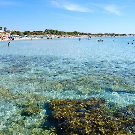 Elena Porto Cesareo