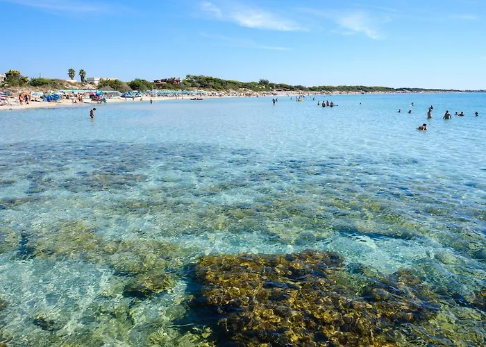Elena Porto Cesareo